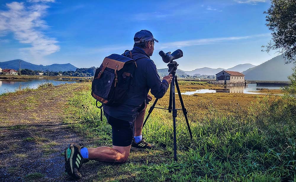 choose-the-perfect-gear-for-birding.jpg