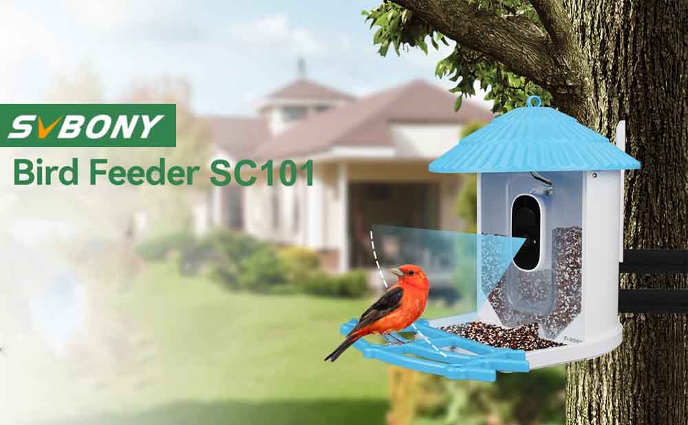 sc101-bird-feeder-2.jpg